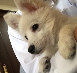 f:id:momo1105hana:20180921232711j:plain f:id:momo1105hana:20180921232711j:plain