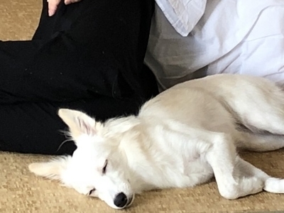 f:id:momo1105hana:20180923174650j:plain