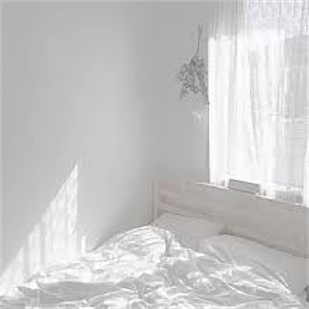 f:id:momo1111tan:20230628212653j:image