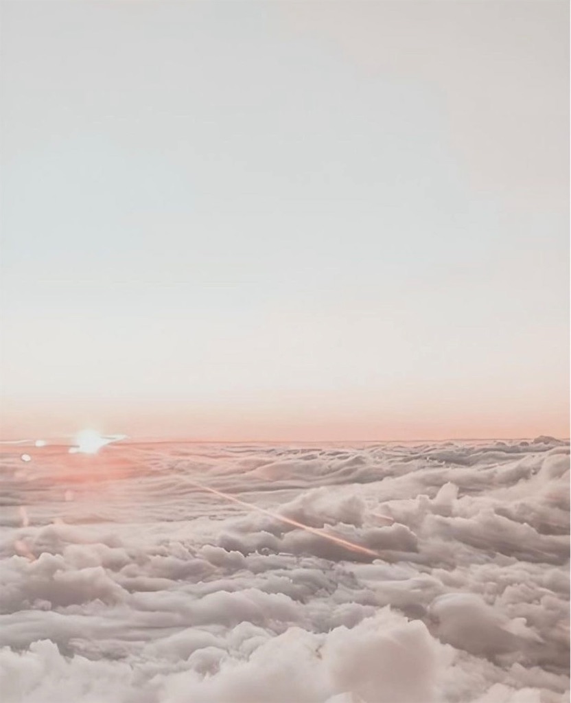 f:id:momo1111tan:20230906220158j:image