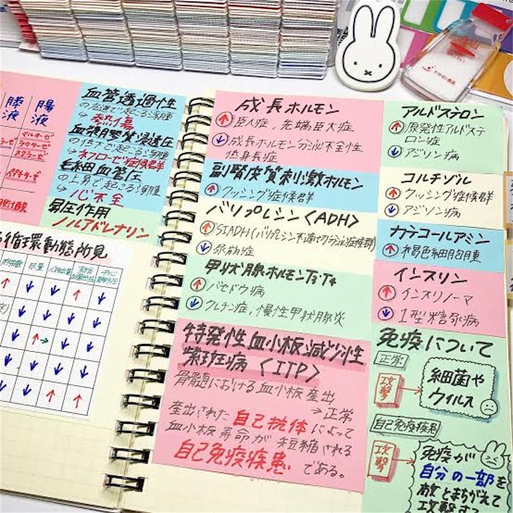 f:id:momo1111tan:20230908152412j:image