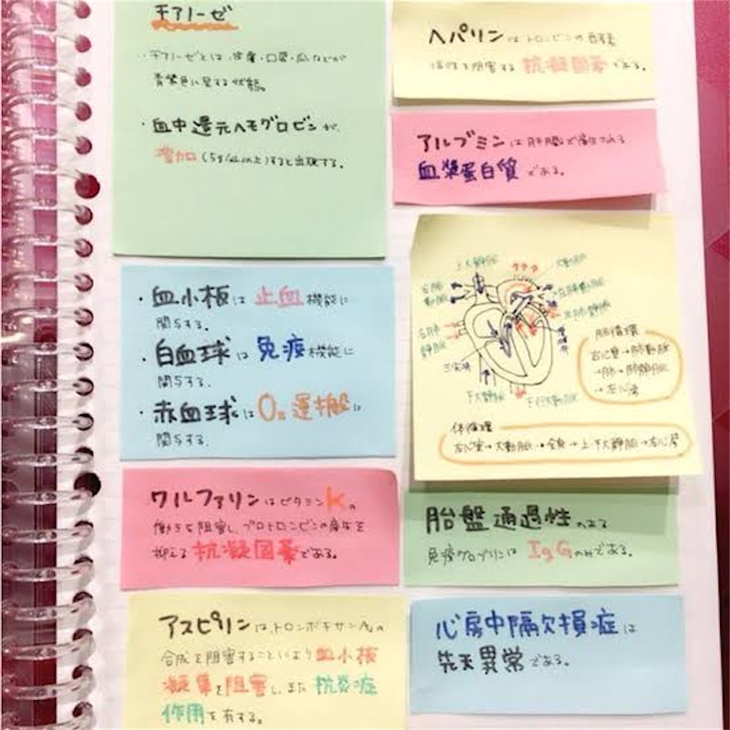 f:id:momo1111tan:20230908152415j:image