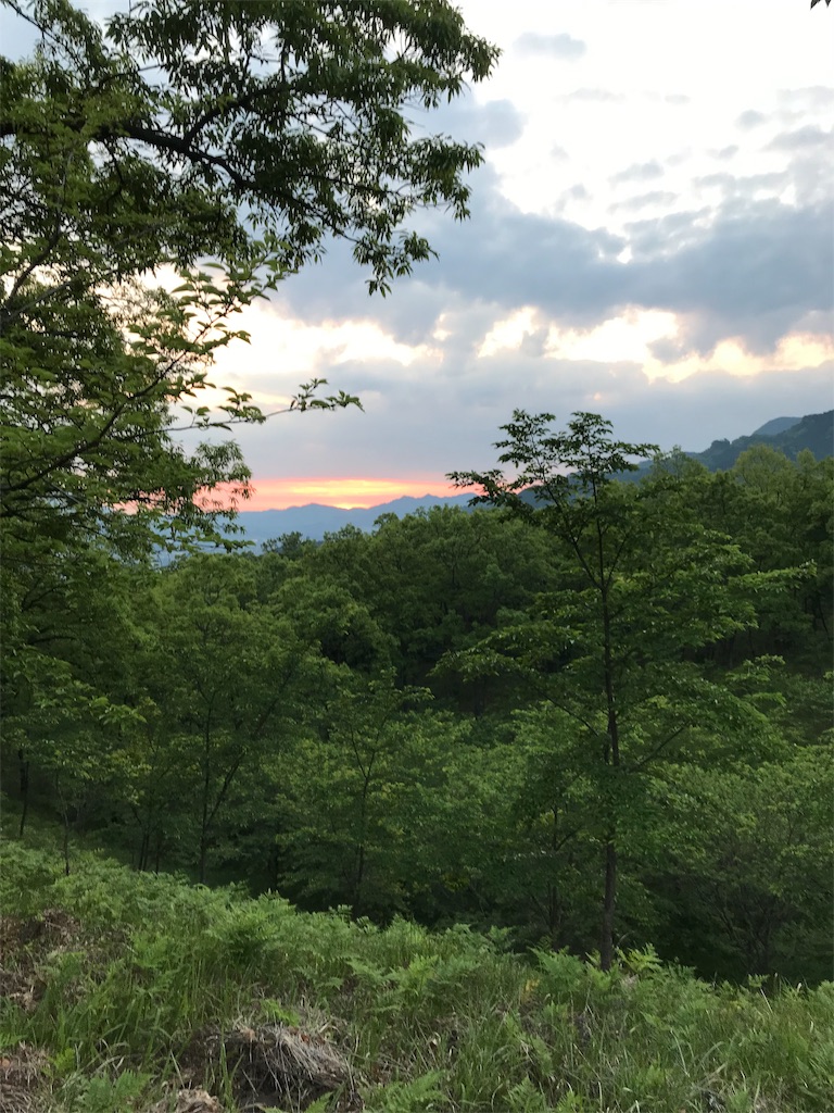 f:id:momo20150410:20190616141006j:image f:id:momo20150410:20190616141006j:image