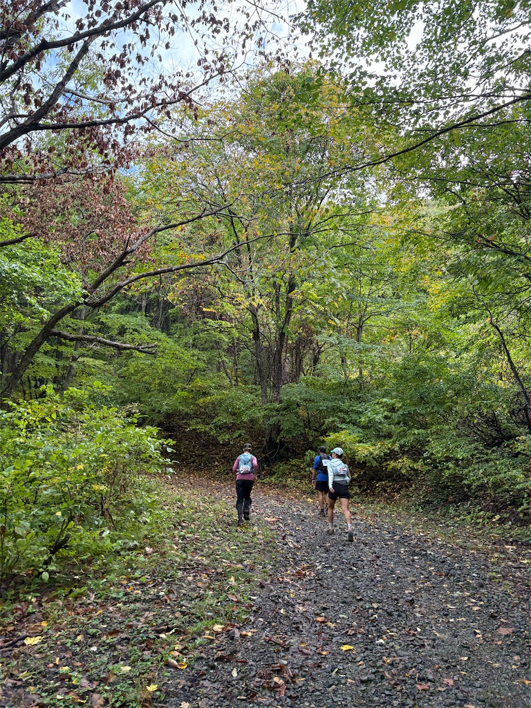 f:id:momo20150410:20251103063656j:image f:id:momo20150410:20251103063656j:image