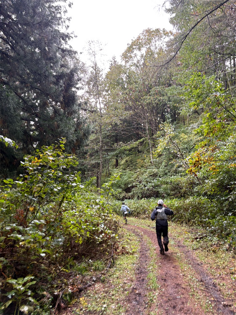 f:id:momo20150410:20251103063704j:image f:id:momo20150410:20251103063704j:image