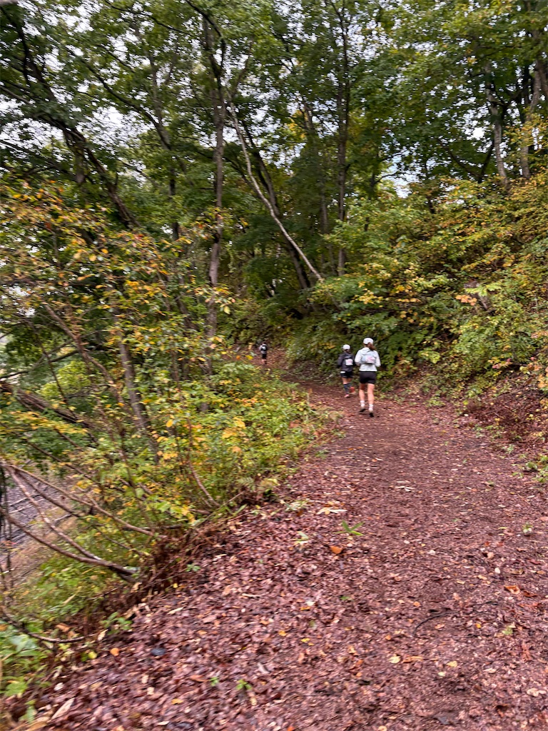 f:id:momo20150410:20251103063713j:image f:id:momo20150410:20251103063713j:image