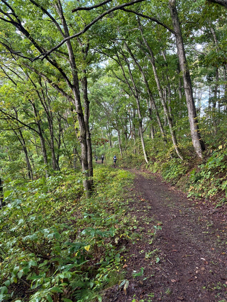 f:id:momo20150410:20251103063724j:image f:id:momo20150410:20251103063724j:image