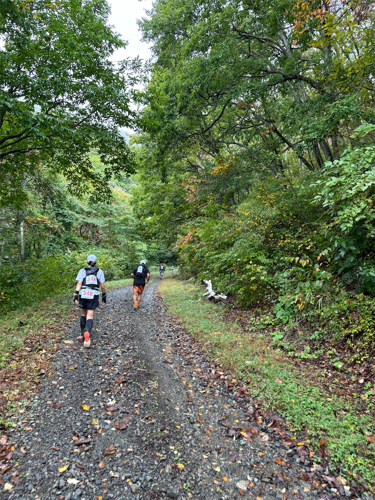 f:id:momo20150410:20251103063729j:image f:id:momo20150410:20251103063729j:image