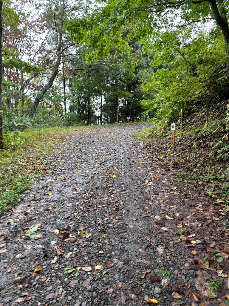 f:id:momo20150410:20251103063747j:image f:id:momo20150410:20251103063747j:image