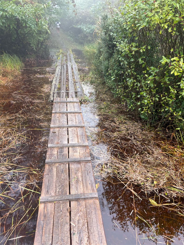 f:id:momo20150410:20251115181051j:image