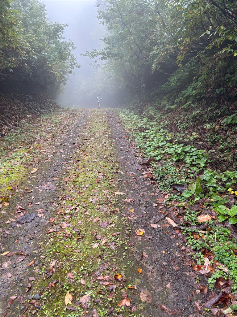 f:id:momo20150410:20251115181122j:image f:id:momo20150410:20251115181122j:image