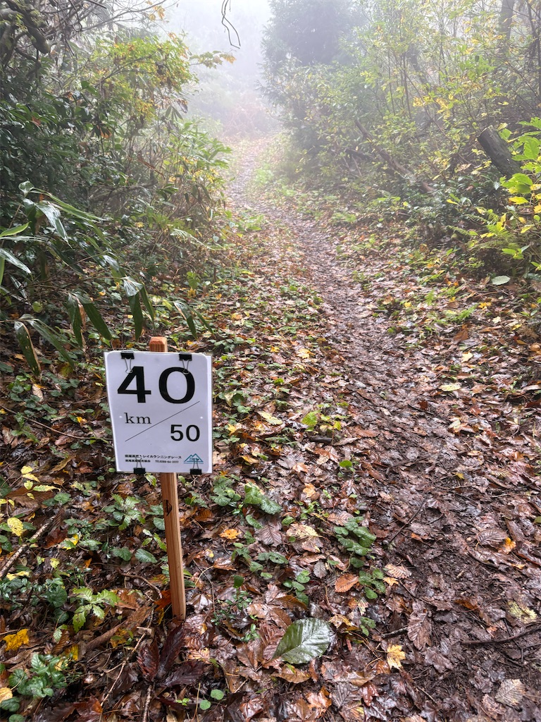 f:id:momo20150410:20251123125950j:image