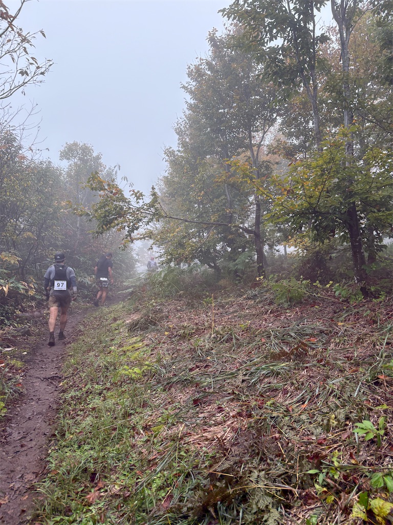 f:id:momo20150410:20251123130004j:image