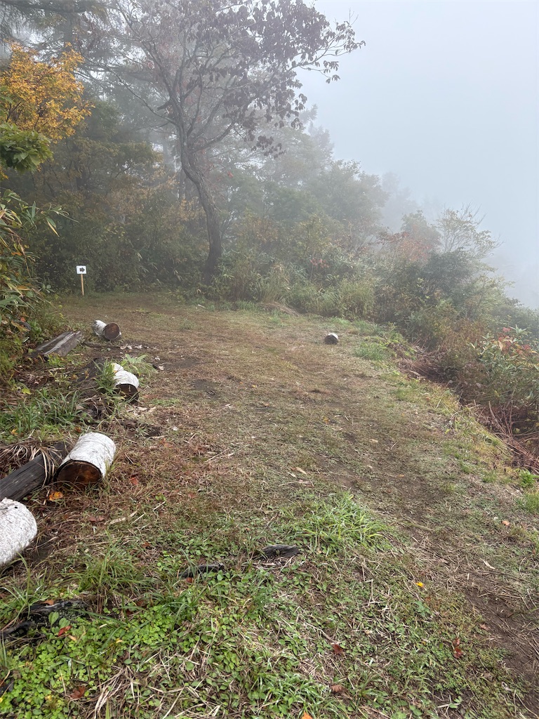 f:id:momo20150410:20251123130007j:image