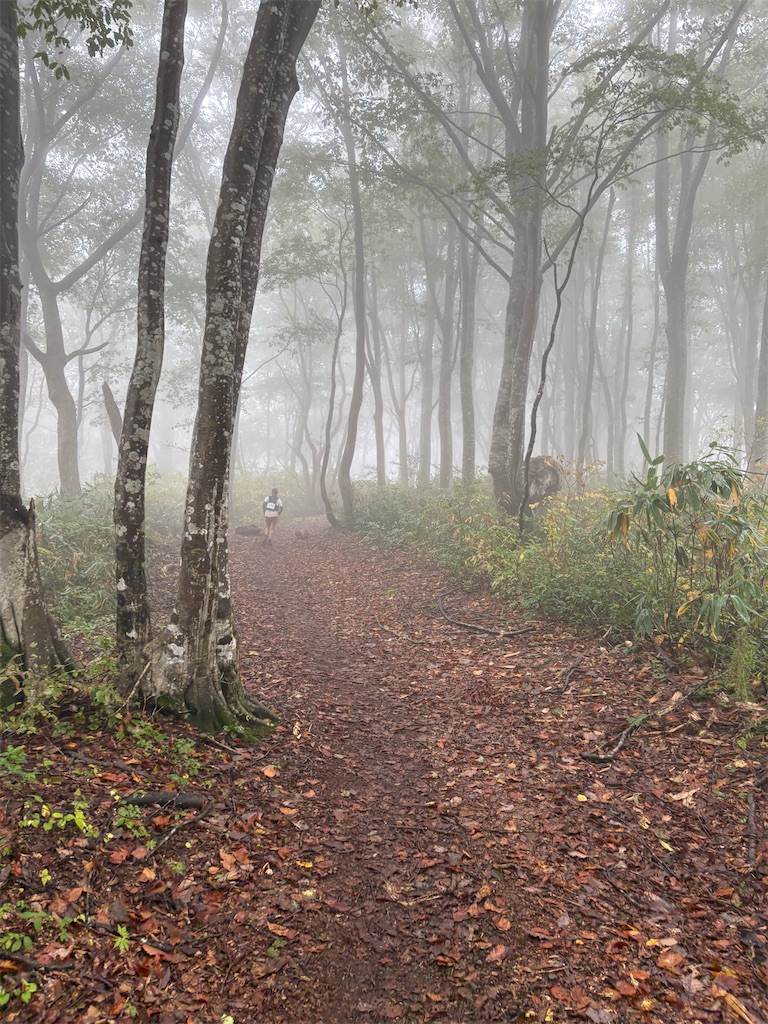 f:id:momo20150410:20251123130036j:image