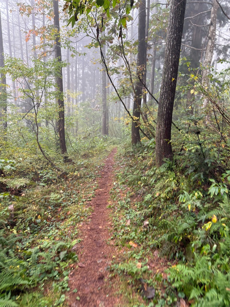 f:id:momo20150410:20251123130040j:image