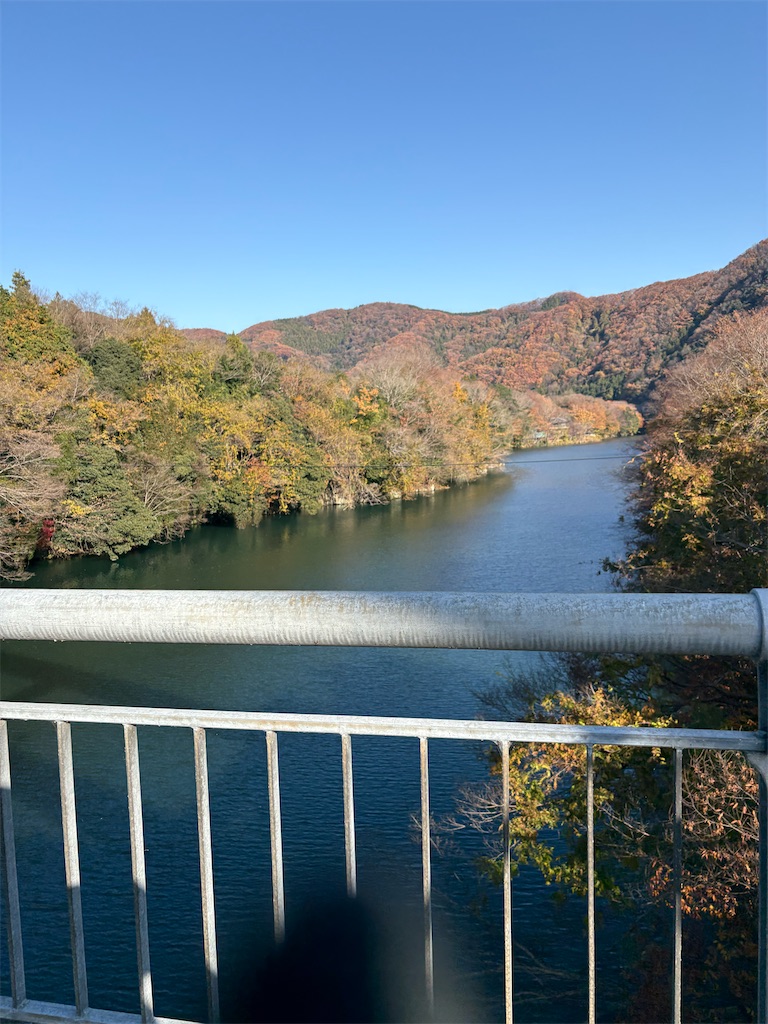 f:id:momo20150410:20251206164455j:image