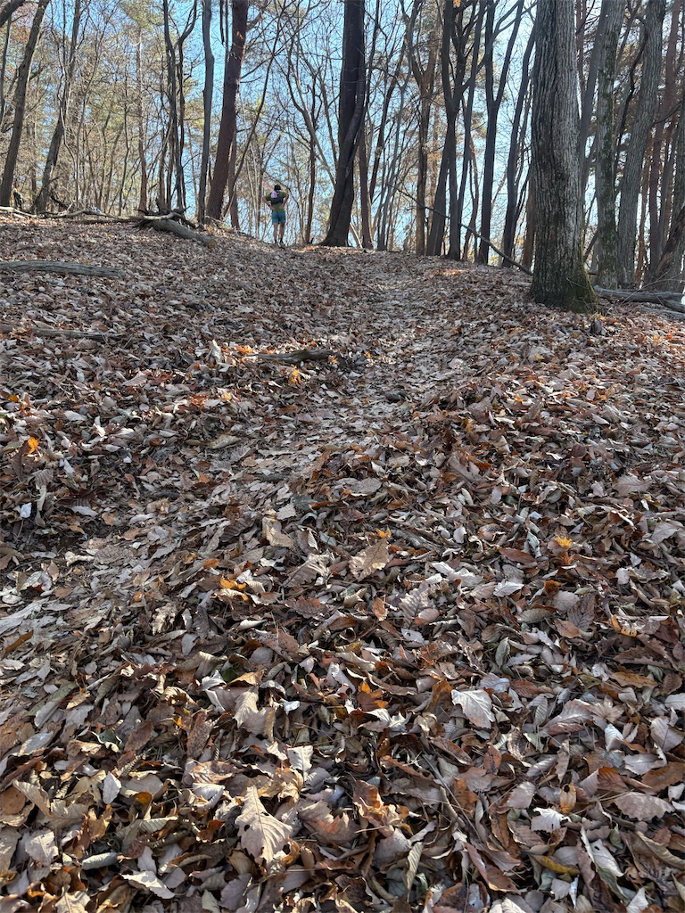 f:id:momo20150410:20251206164458j:image