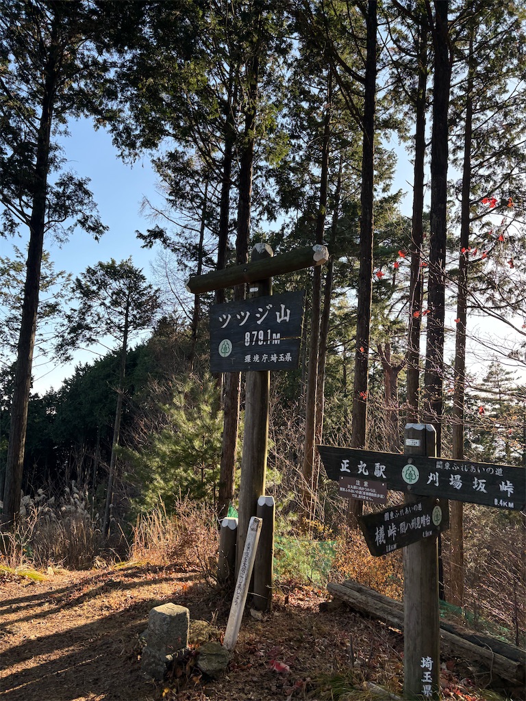 f:id:momo20150410:20251206164537j:image