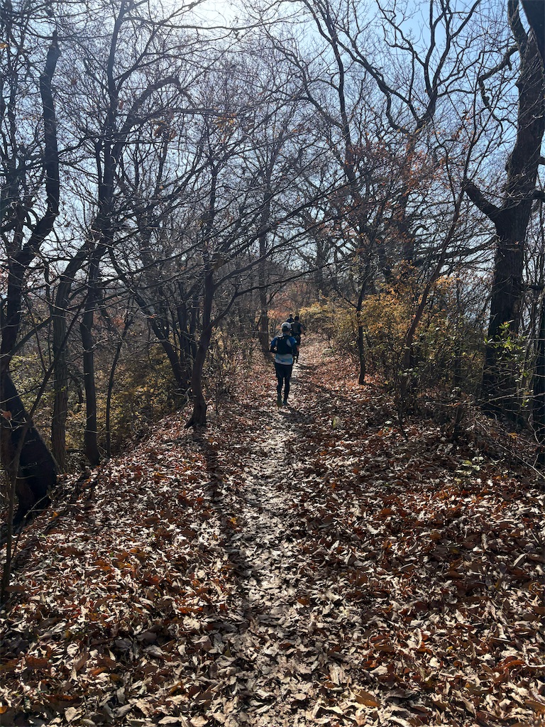 f:id:momo20150410:20251206164542j:image