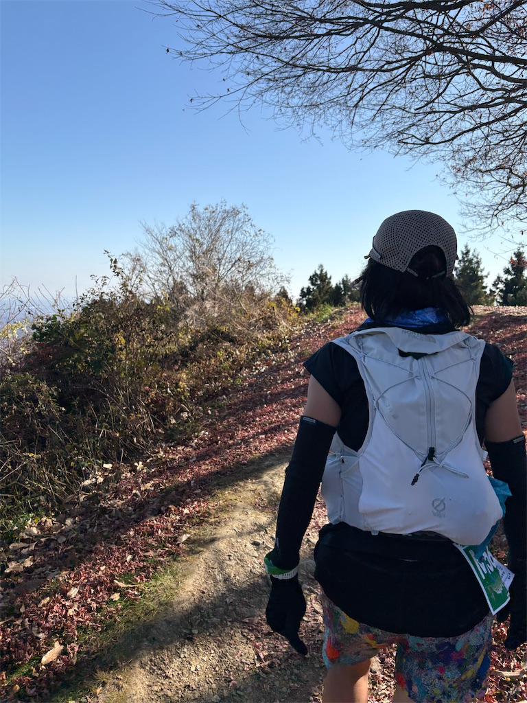 f:id:momo20150410:20251206164618j:image