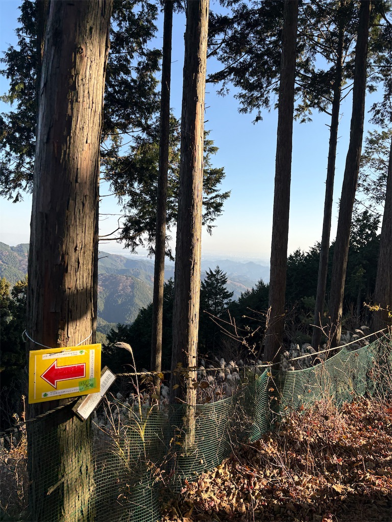 f:id:momo20150410:20251206164647j:image