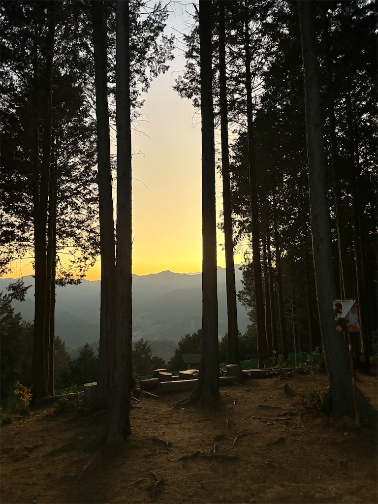 f:id:momo20150410:20251206164659j:image