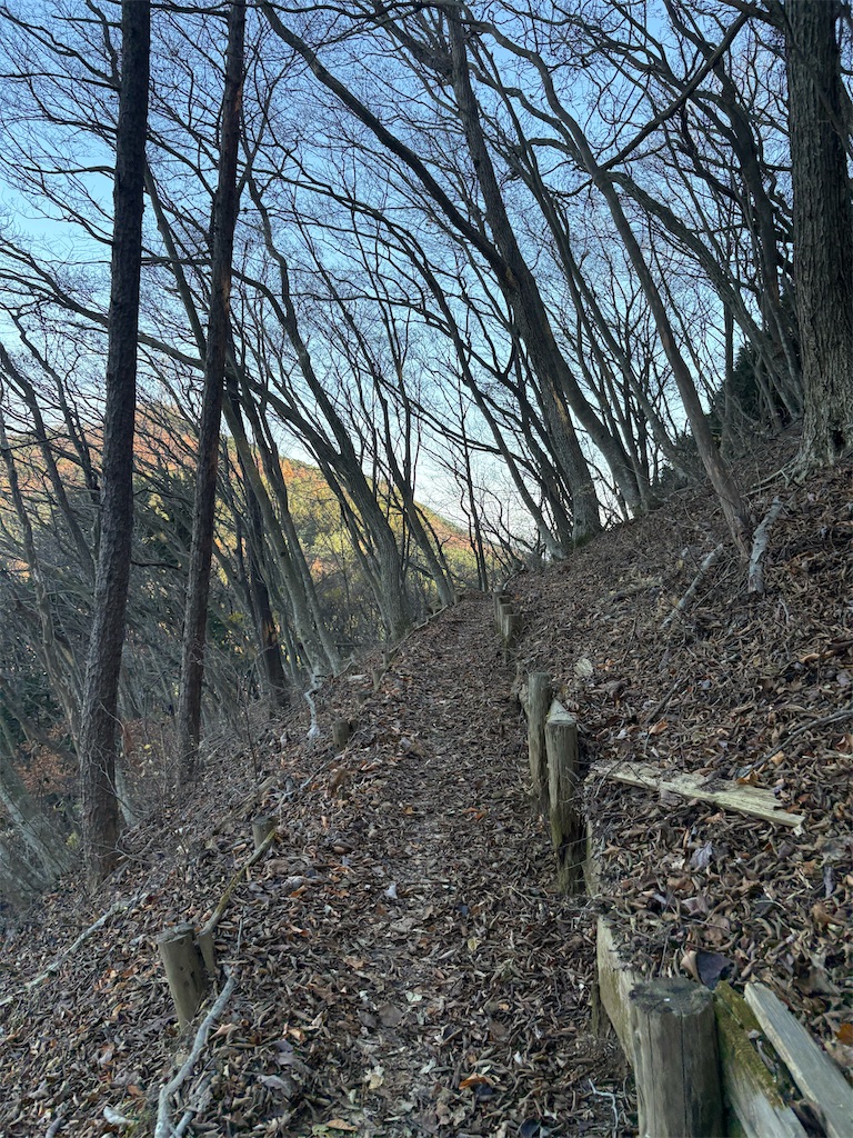 f:id:momo20150410:20251206164716j:image