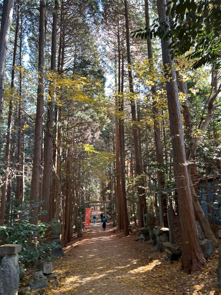 f:id:momo20150410:20251206164818j:image