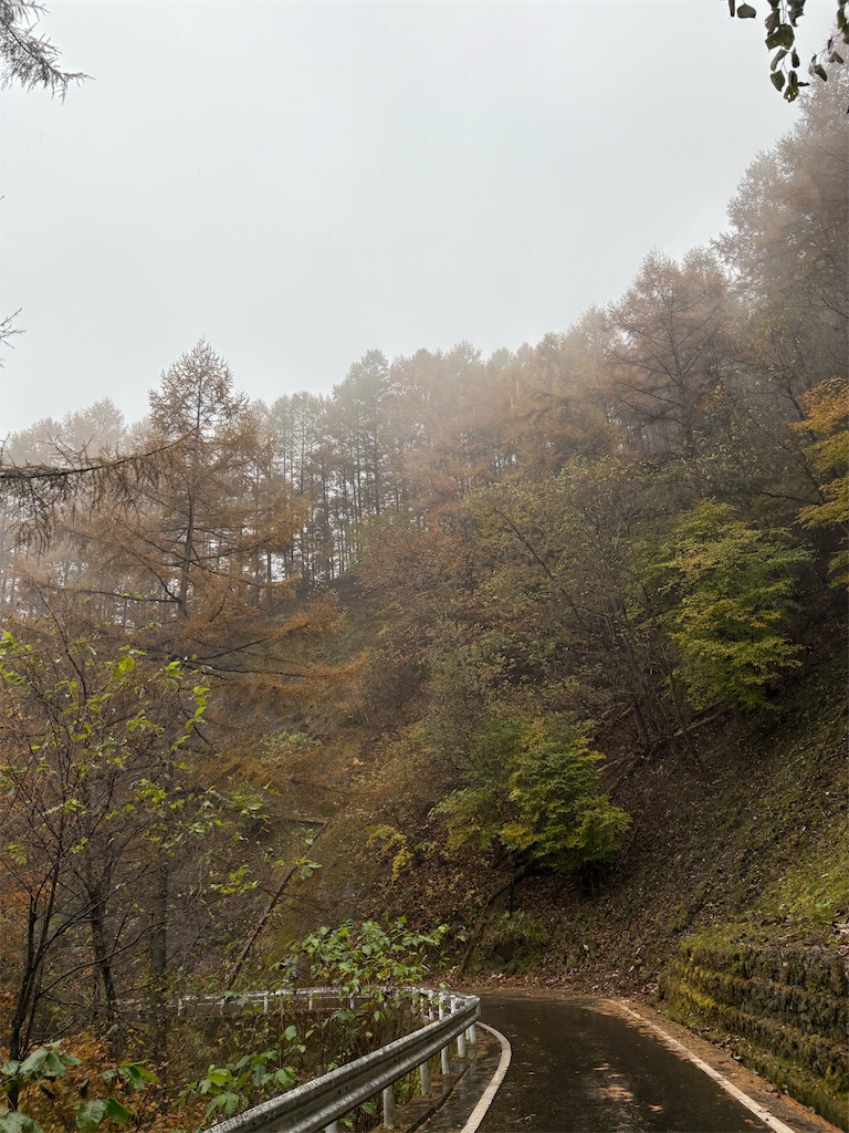 f:id:momo20150410:20251214140153j:image