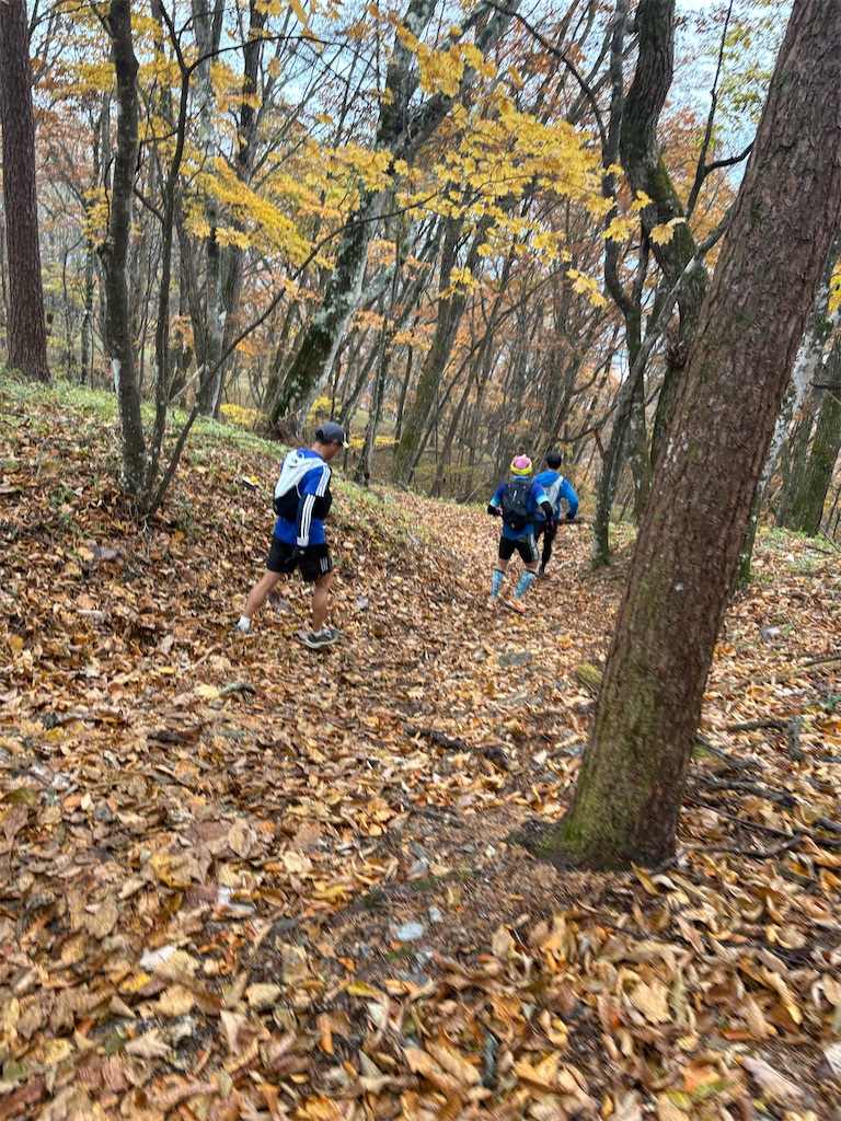 f:id:momo20150410:20251214140205j:image