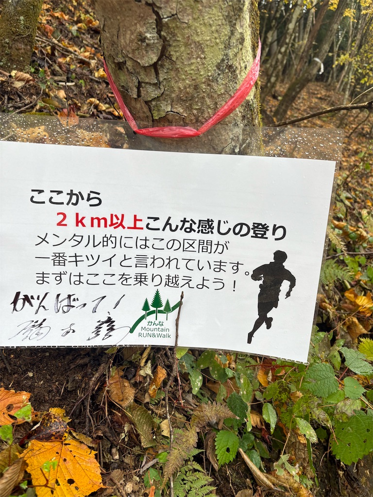 f:id:momo20150410:20251214140208j:image