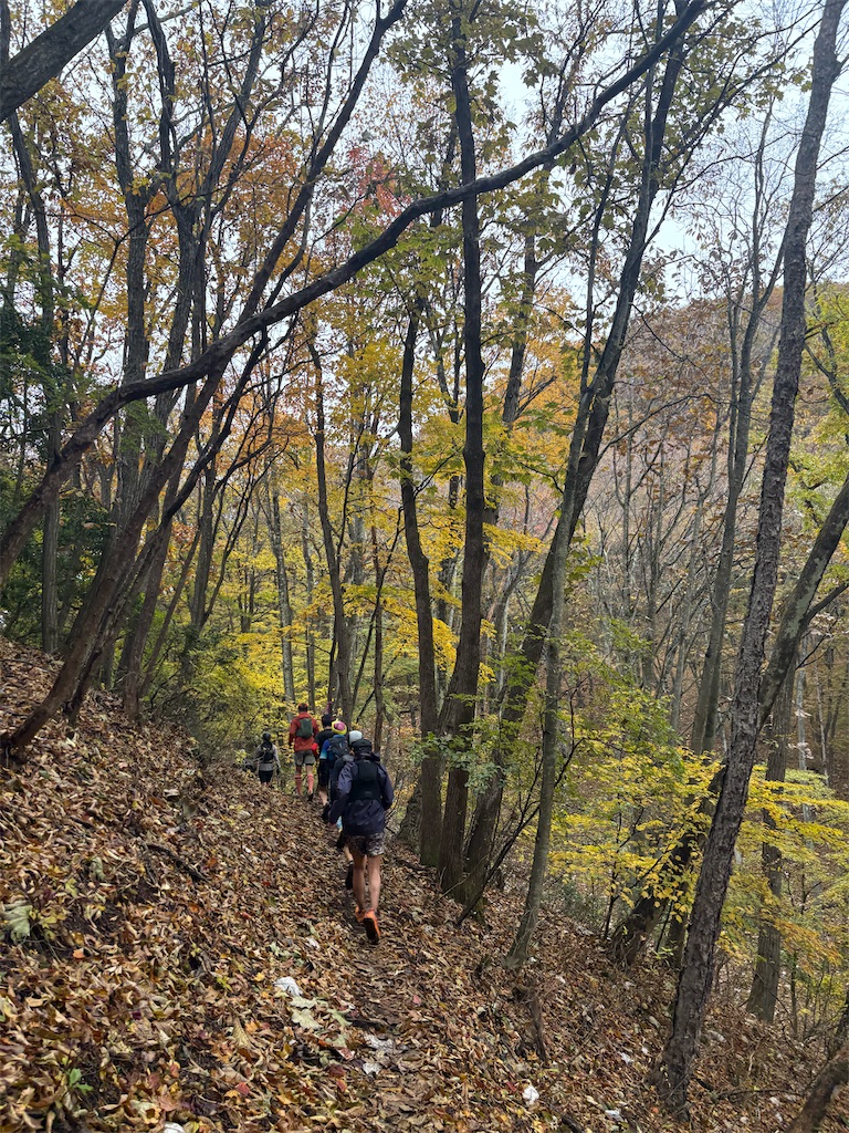 f:id:momo20150410:20251214140215j:image