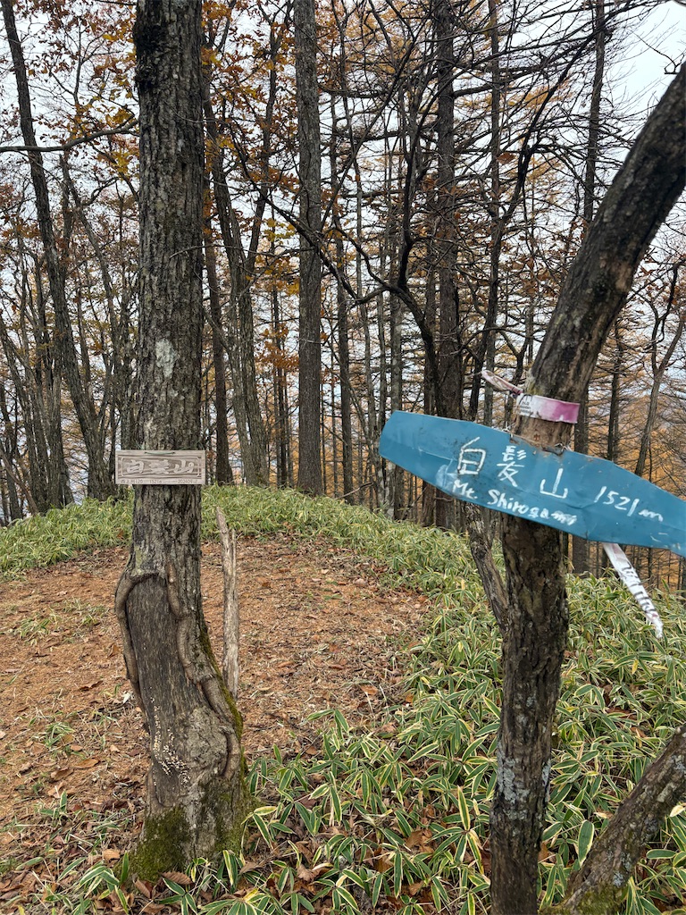 f:id:momo20150410:20251214140228j:image