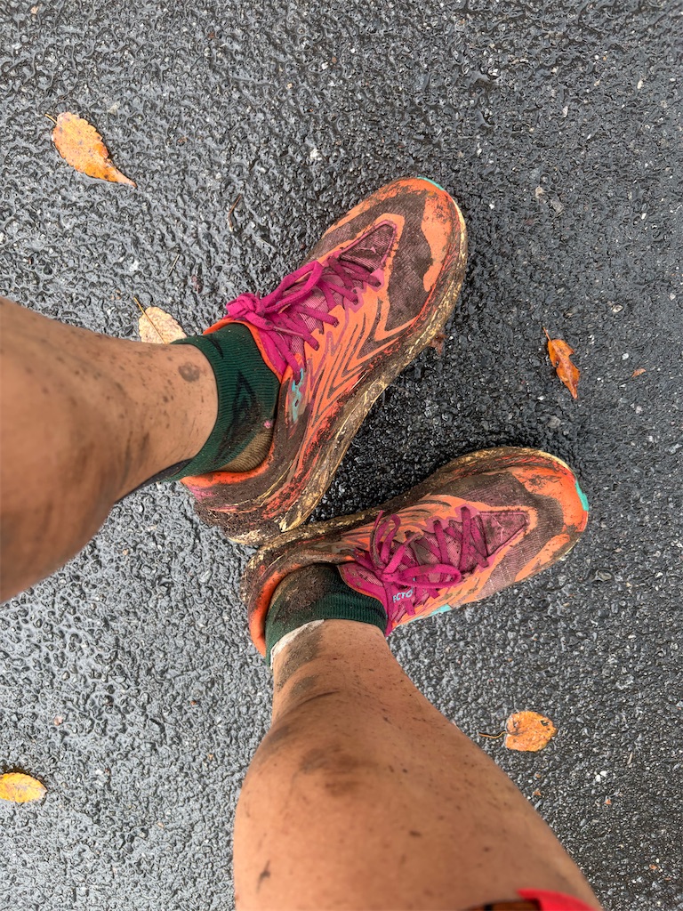 f:id:momo20150410:20251214140246j:image