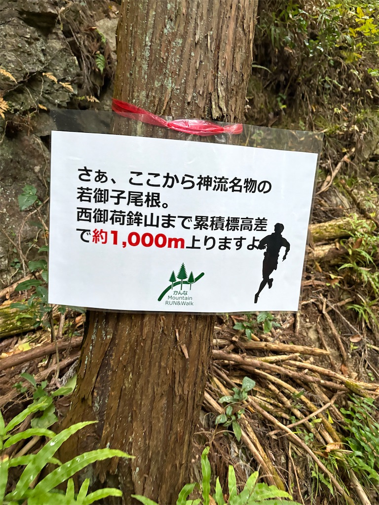 f:id:momo20150410:20251214140258j:image