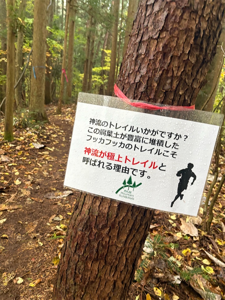 f:id:momo20150410:20251214140311j:image