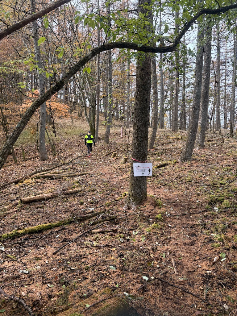 f:id:momo20150410:20251214140332j:image