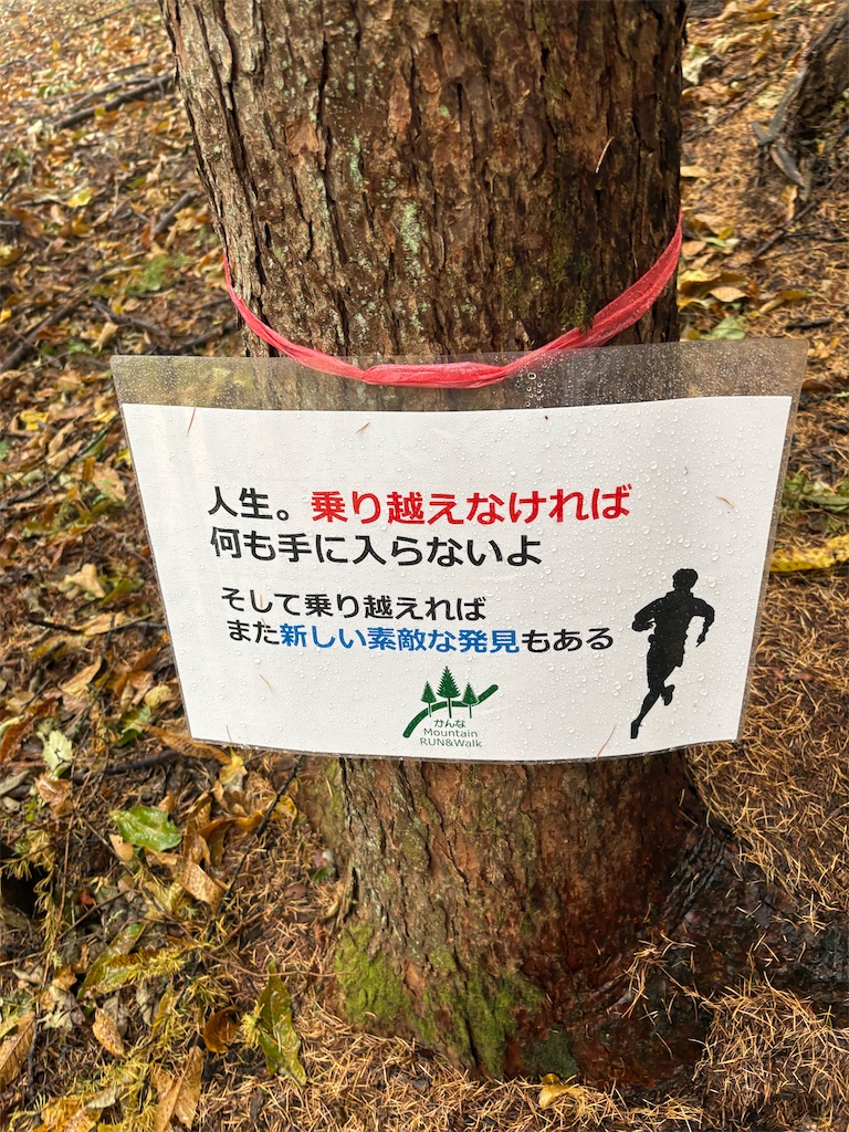 f:id:momo20150410:20251214140413j:image