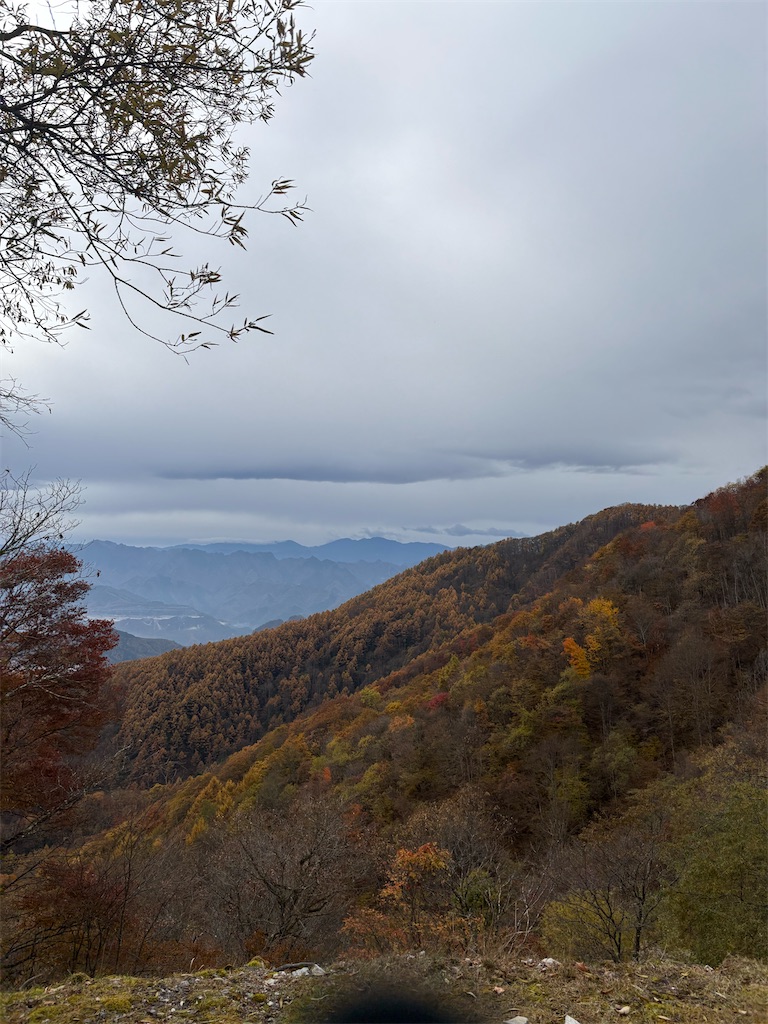 f:id:momo20150410:20251214140423j:image