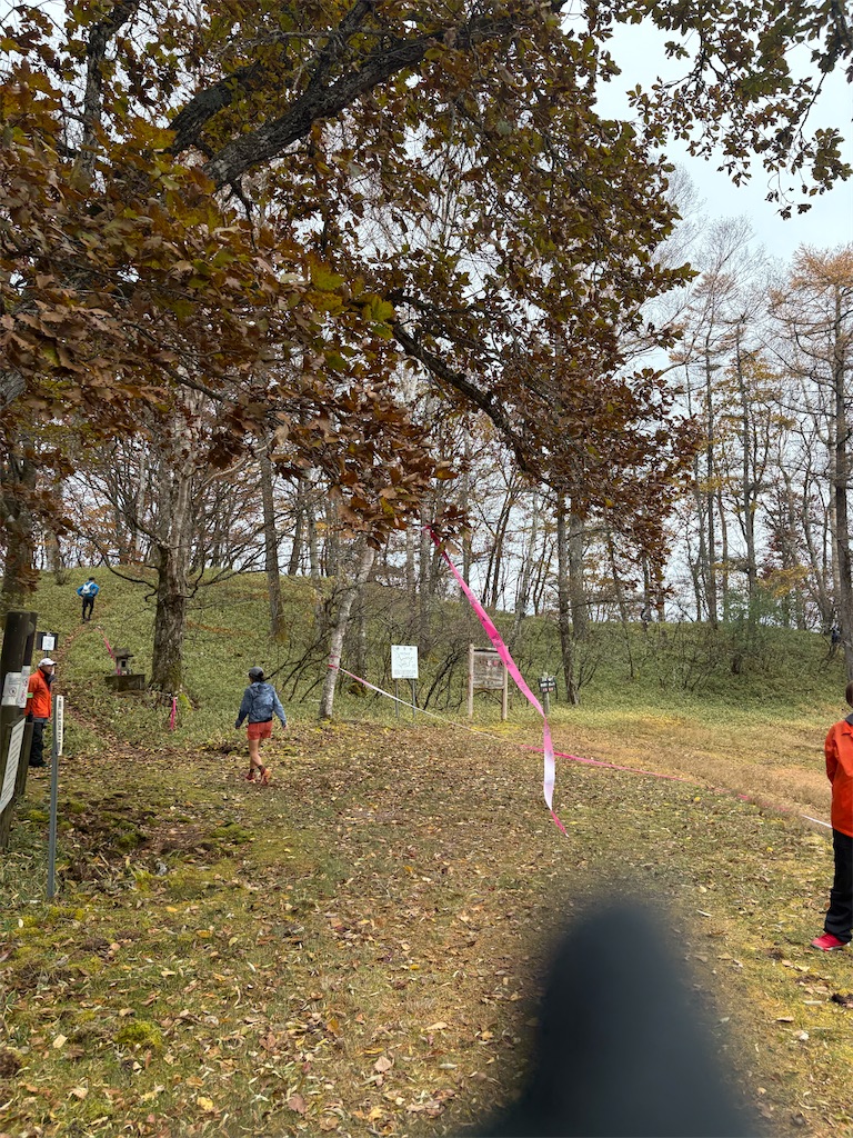 f:id:momo20150410:20251214140430j:image