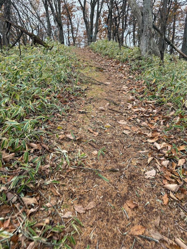 f:id:momo20150410:20251214140437j:image