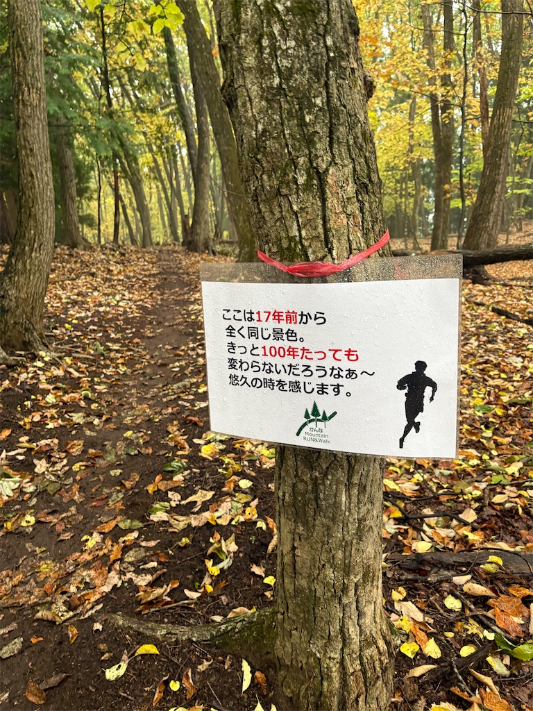 f:id:momo20150410:20251214140458j:image