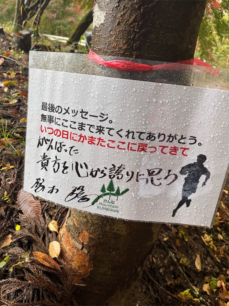 f:id:momo20150410:20251214140529j:image