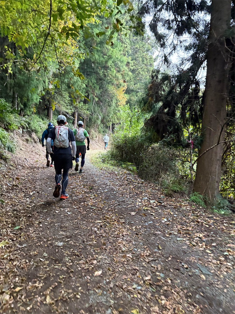 f:id:momo20150410:20251214140546j:image