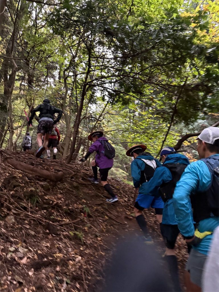 f:id:momo20150410:20251214140604j:image