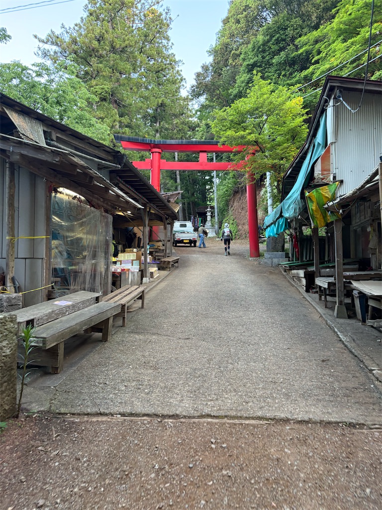 f:id:momo20150410:20260606130548j:image f:id:momo20150410:20260606130548j:image