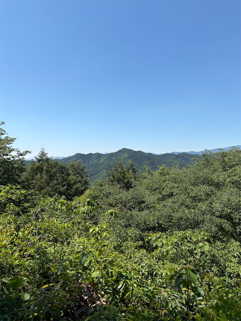 f:id:momo20150410:20260621101017j:image f:id:momo20150410:20260621101017j:image