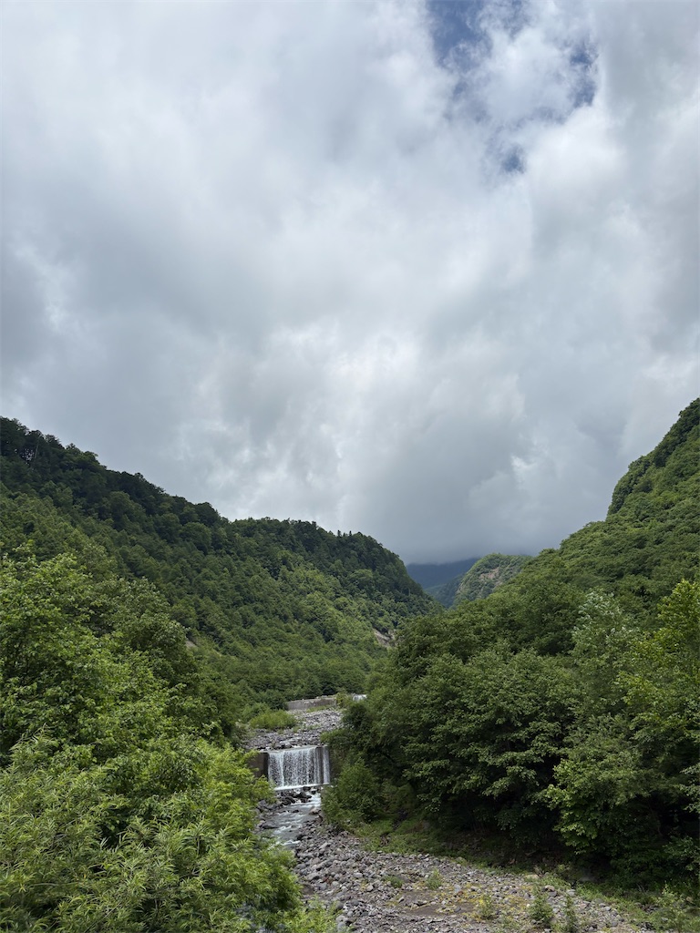 f:id:momo20150410:20260811145910j:image f:id:momo20150410:20260811145910j:image