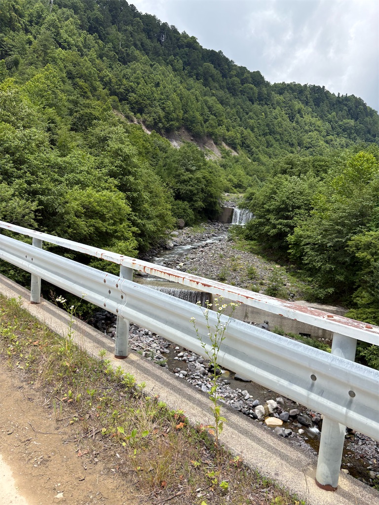 f:id:momo20150410:20260811145914j:image f:id:momo20150410:20260811145914j:image